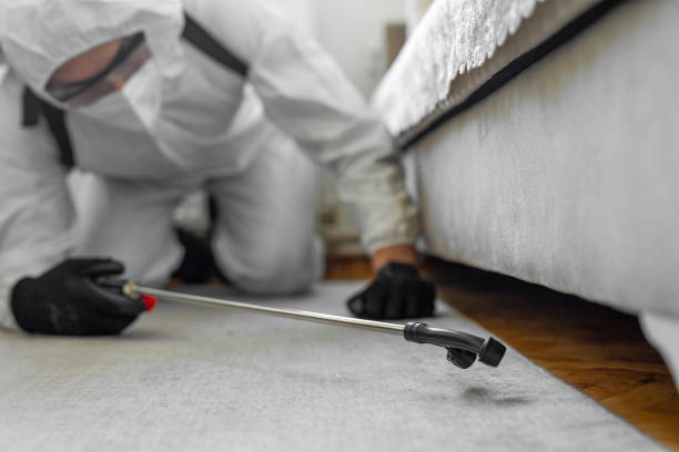 Professional Pest Control technician working in Lake Cassidy, WA