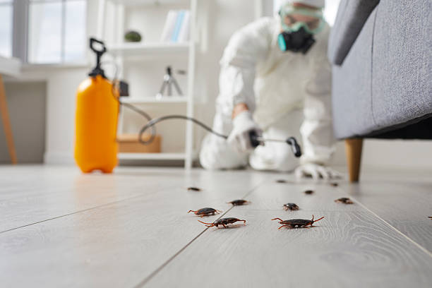Trusted Rodent Control service in Lake Cassidy, WA - Nex Pest Control