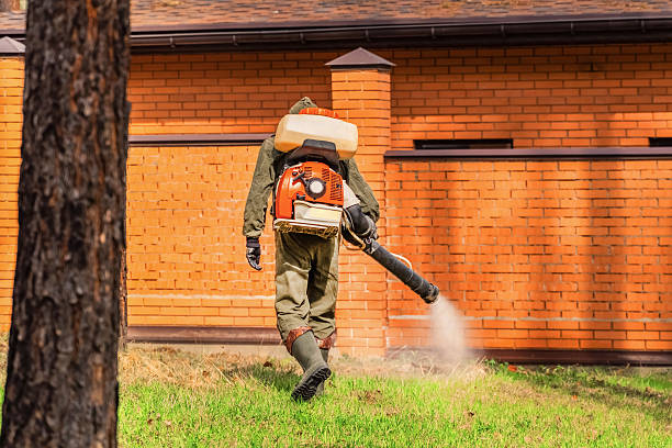 Trusted Termite Control service in Lake Cassidy, WA - Nex Pest Control